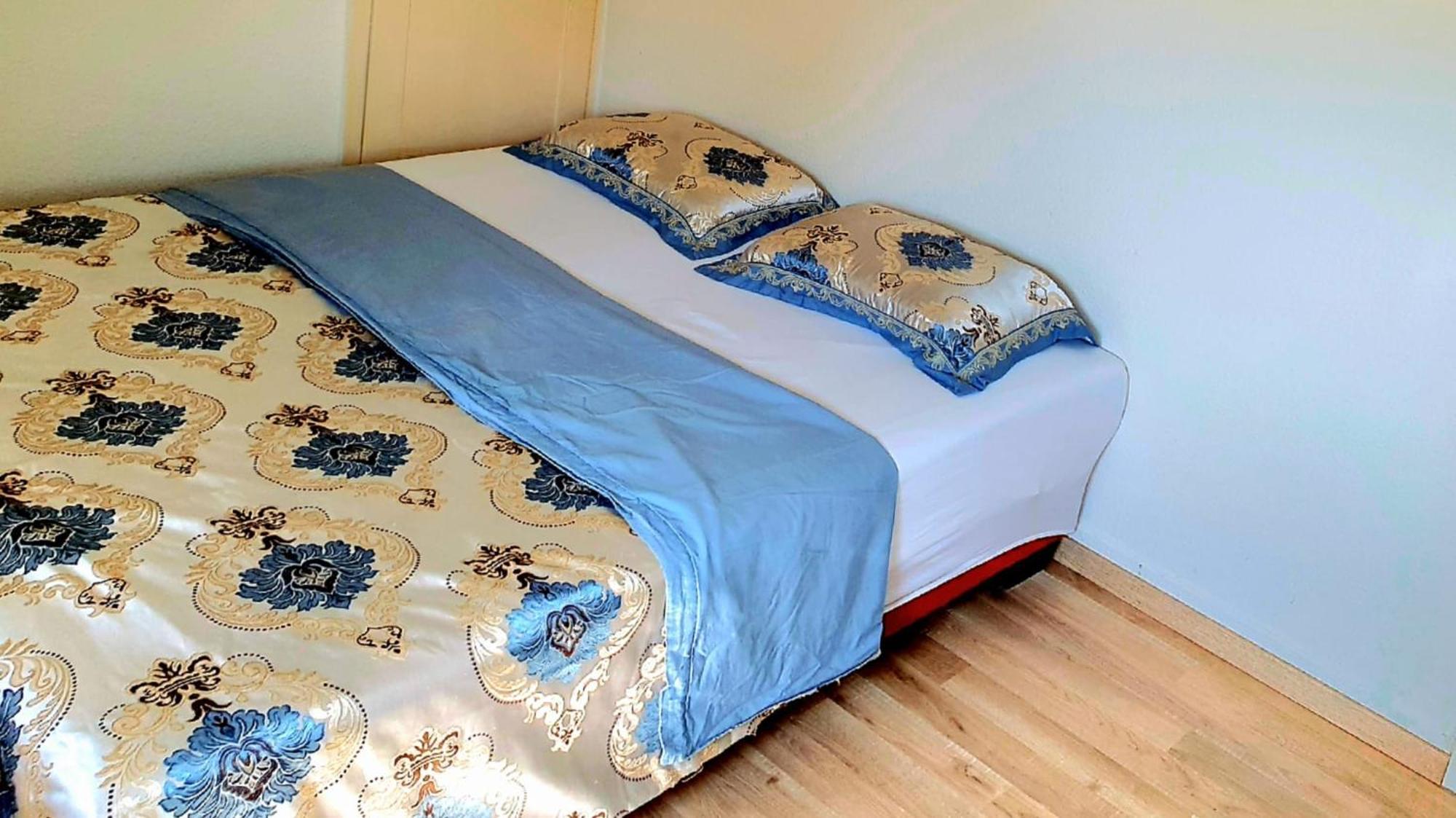 Wohnung Mit 3 Zimmer バイブリンゲン エクステリア 写真
