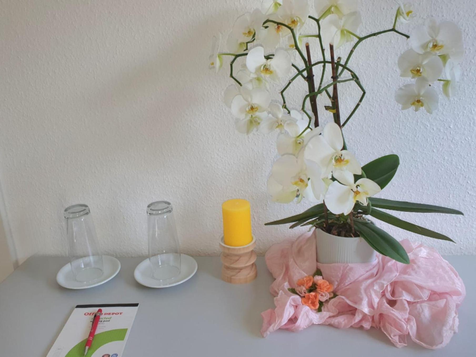 Wohnung Mit 3 Zimmer バイブリンゲン エクステリア 写真